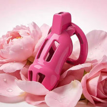 Load image into Gallery viewer, Candy Powder Contract Chastity Cage 1
