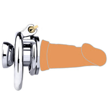 Carica l&#39;immagine nel visualizzatore di Gallery, Cock In Chastity With Dildo
