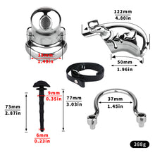 Carica l'immagine nel visualizzatore di Gallery, Dolphin Steel Chastity Cage with Anti-ring Removable - 7
