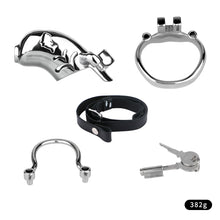Carica l'immagine nel visualizzatore di Gallery, Dolphin Steel Chastity Cage with Anti-ring Removable - 2
