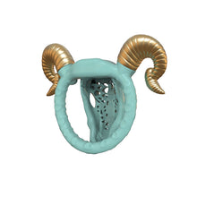 Cargar imagen en el visor de la galería, Goat Chastity Cage with Detachable Horns – Horned Submission Cage
