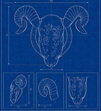 Cargar imagen en el visor de la galería, Goat Chastity Cage with Detachable Horns – Horned Submission Cage
