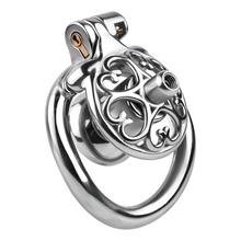 Load image into Gallery viewer, Locked In Love Chastity Cage
