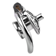 Load image into Gallery viewer, Locked In Love Chastity Cage
