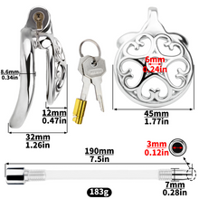 Load image into Gallery viewer, Locked In Love Chastity Cage
