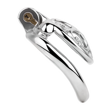 Load image into Gallery viewer, Locked In Love Chastity Cage
