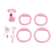 Load image into Gallery viewer, Miss Joyce Party Slave Chastity Cage
