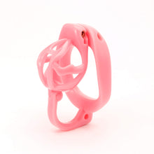 Load image into Gallery viewer, Personalized Egg Separation Chastity Device
