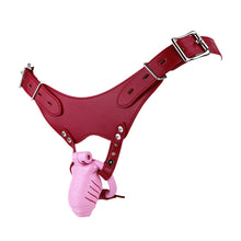 Carica l'immagine nel visualizzatore di Gallery, Resin Realistic Submission Chastity Cage
