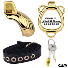 Carica l'immagine nel visualizzatore di Gallery, Shell Design Golden Chastity Cage - 10
