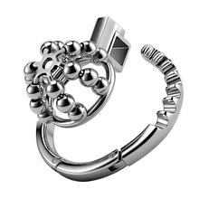 Carica l'immagine nel visualizzatore di Gallery, Steel Ball Metal Chastity Lock - 2
